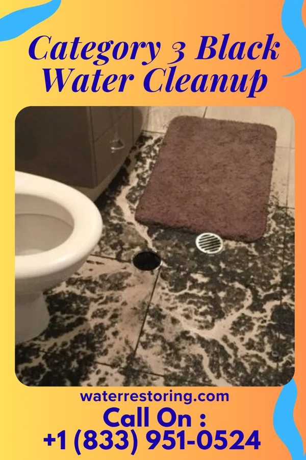 Category 3 Black Water Cleanup in Millcreek, UT